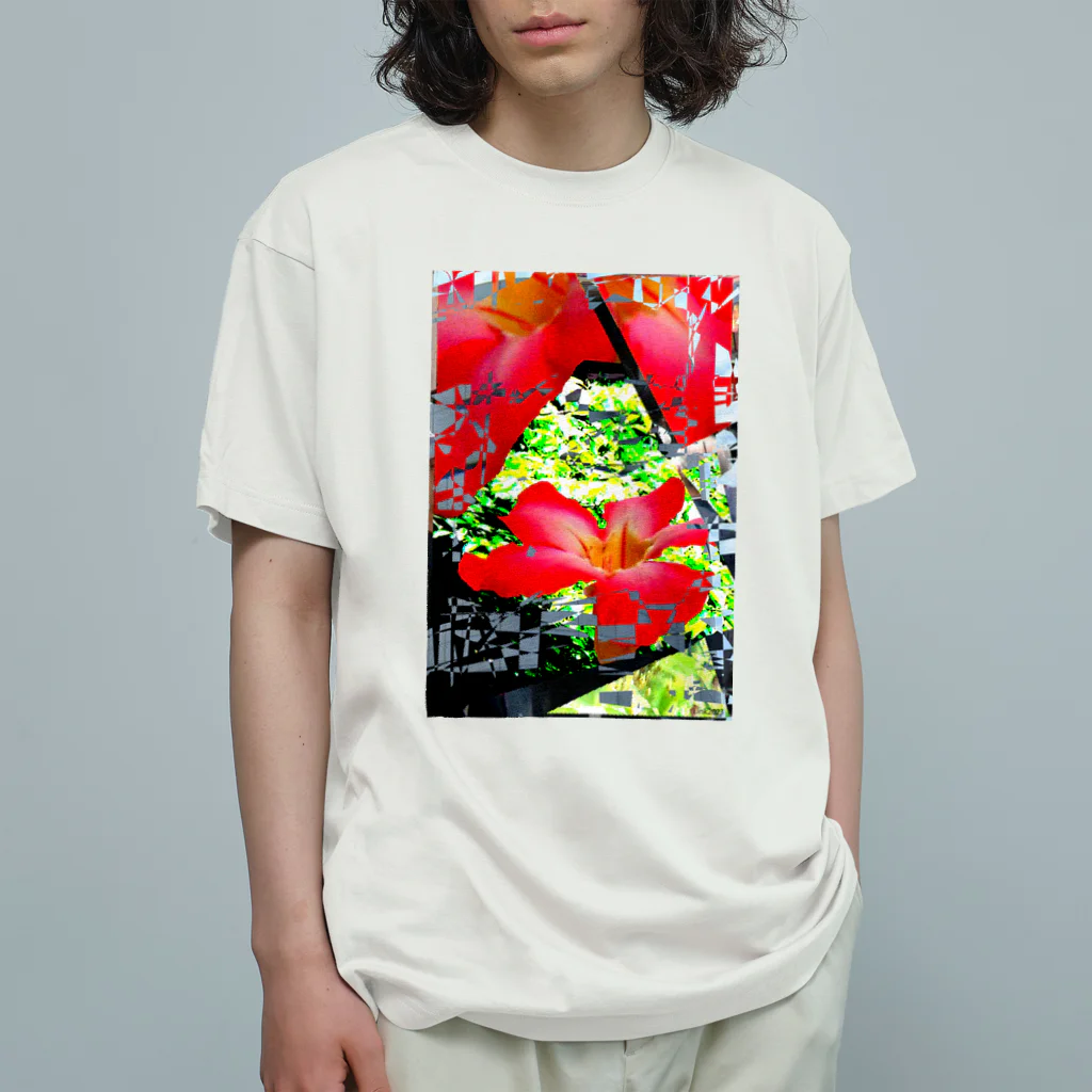 Link Creation online SHOPのAn emotional decision Organic Cotton T-Shirt