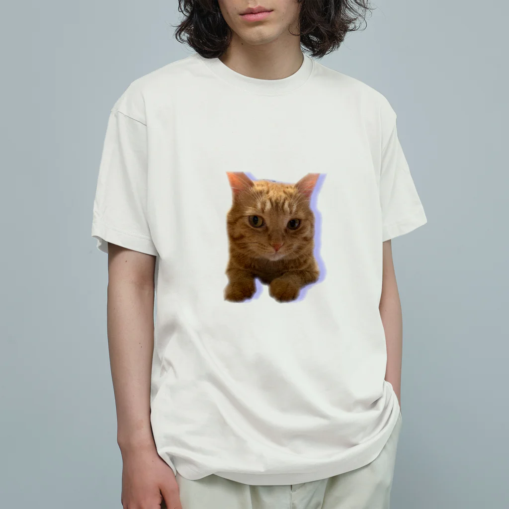 めんけ猫。の我が家の猫くんです。 Organic Cotton T-Shirt