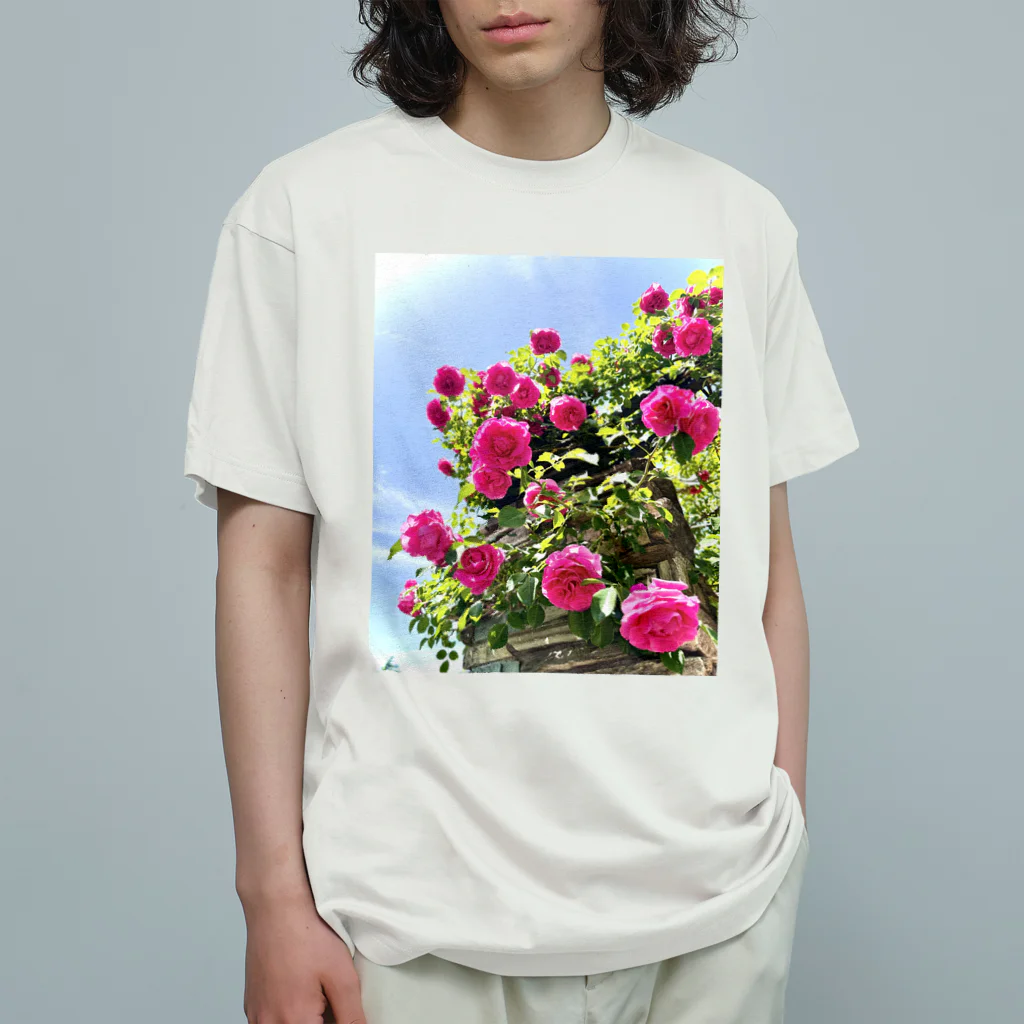 maikoのショップの薔薇と青空 オーガニックコットンTシャツ