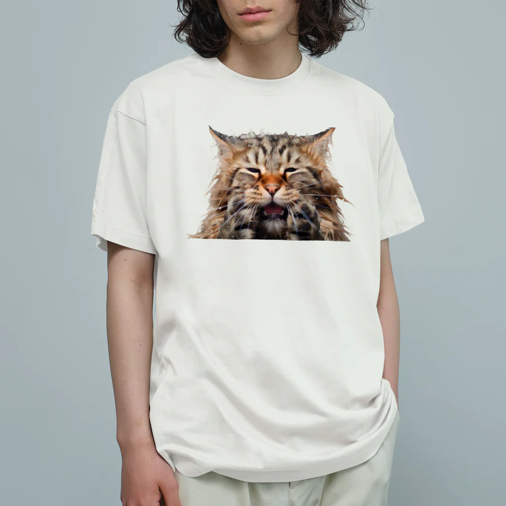 日向ぼっこのずぶ濡れ猫 Organic Cotton T-Shirt