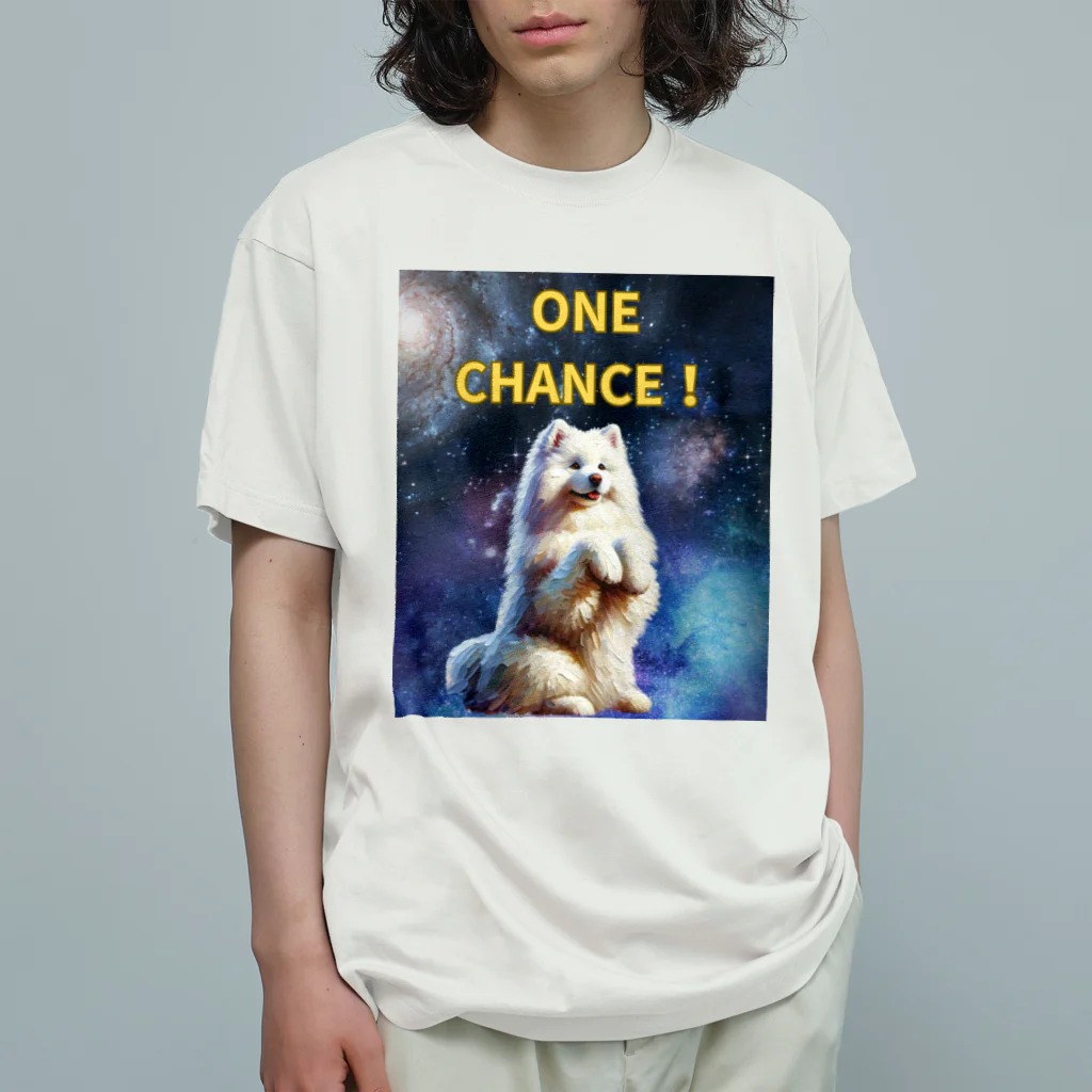 isoginのONECHANCEなアイテム オーガニックコットンTシャツ