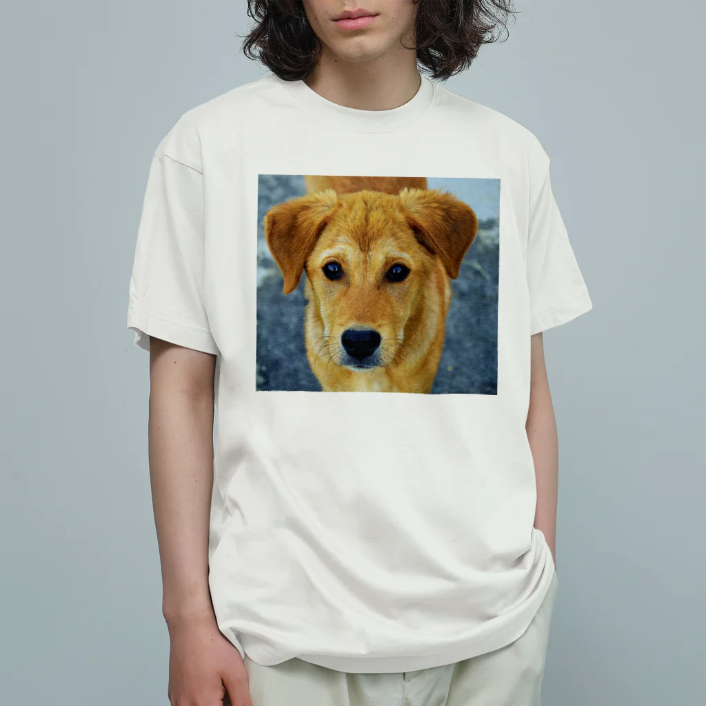 可愛い動物のラブラドールレトリーバー オーガニックコットンTシャツ