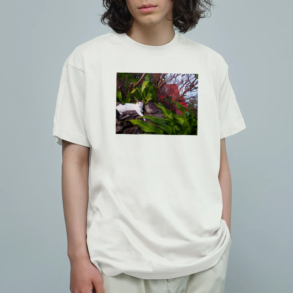 遁世の優雅な猫 Organic Cotton T-Shirt