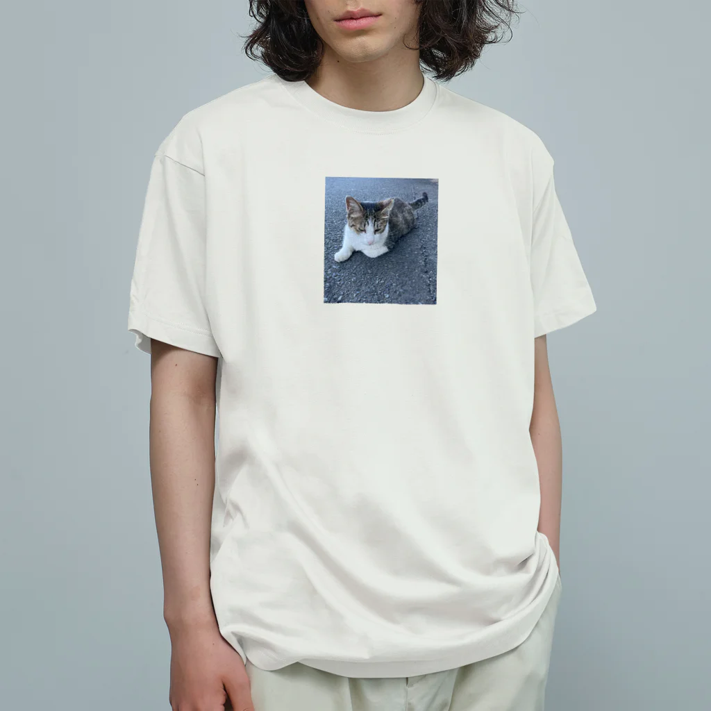 ながしっぽ from.さくらねこの家のながしっぼ typeN Organic Cotton T-Shirt