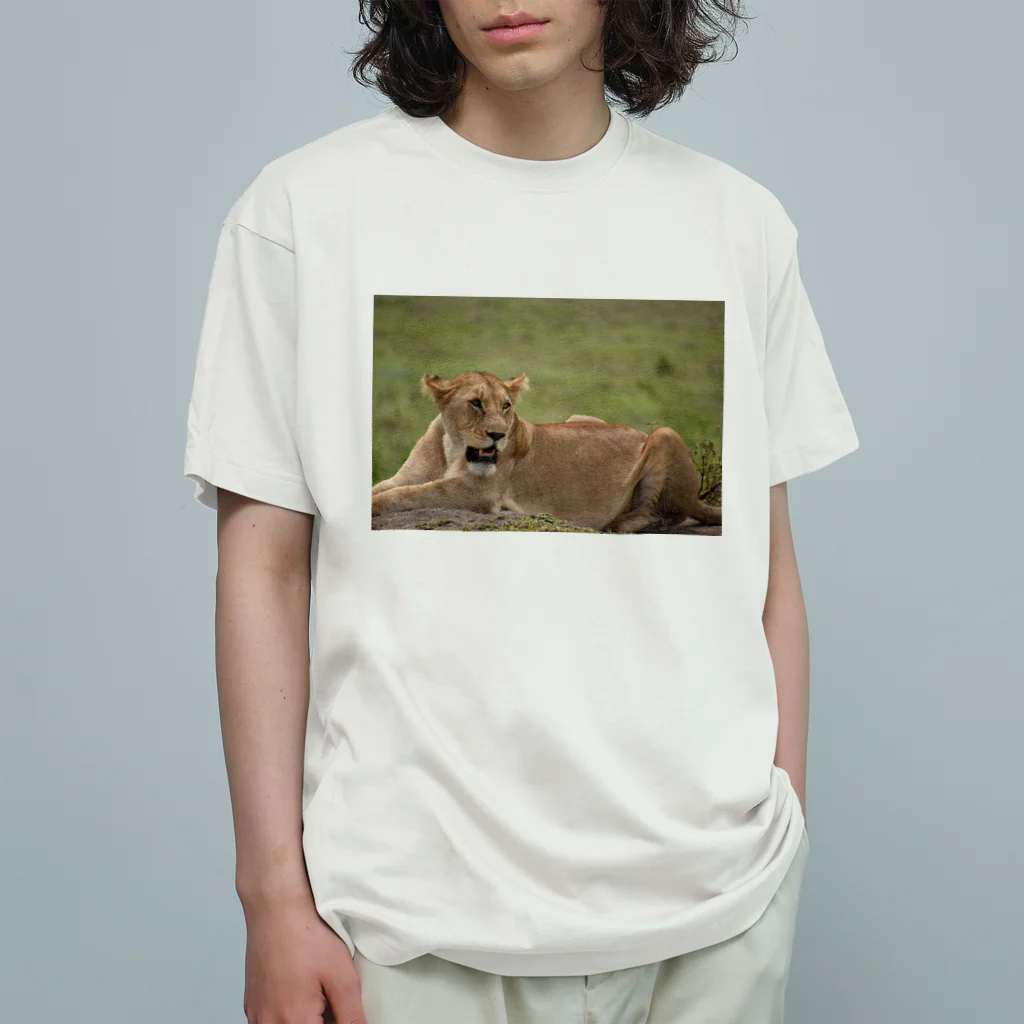 mayura_photoのサバンナのメスライオン Organic Cotton T-Shirt