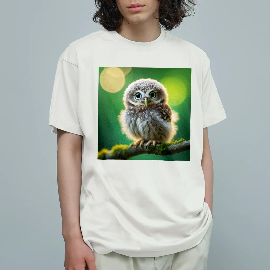 Animal Canvas Collectionの森のふくろう オーガニックコットンTシャツ