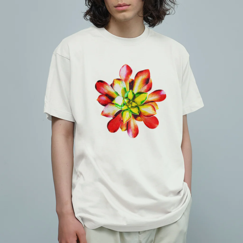 JaachanのSucculents series アエオニウム Organic Cotton T-Shirt