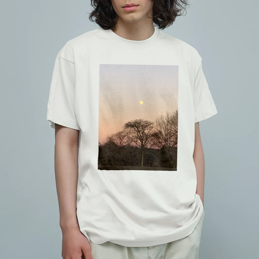 Cororineの冬の夜のはじまり Organic Cotton T-Shirt