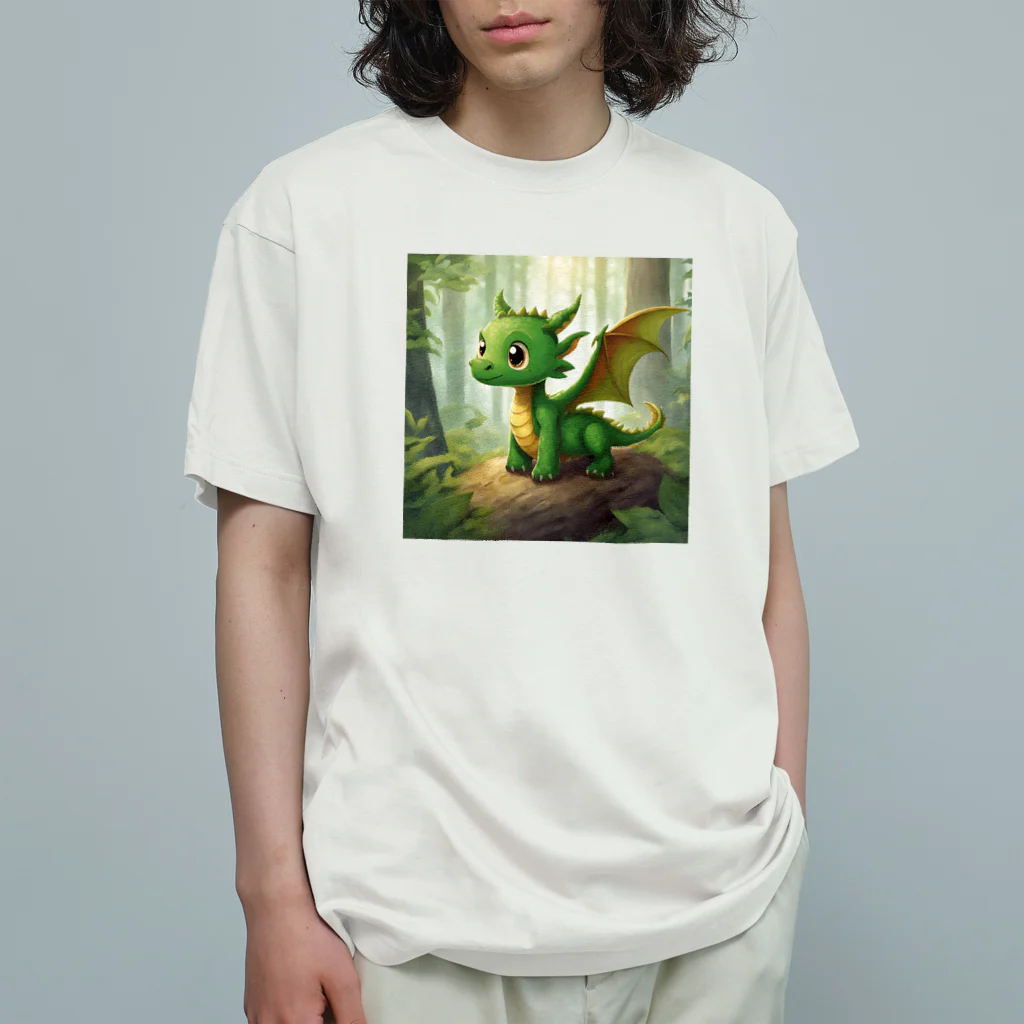 ドリームスケープギャラリーの子竜のお散歩 Organic Cotton T-Shirt