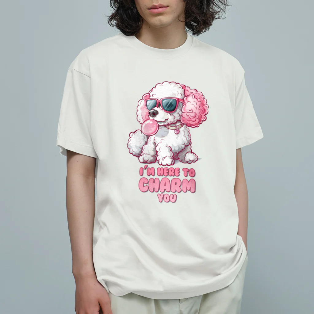 Stylo Tee Shopの魅力するわ オーガニックコットンTシャツ