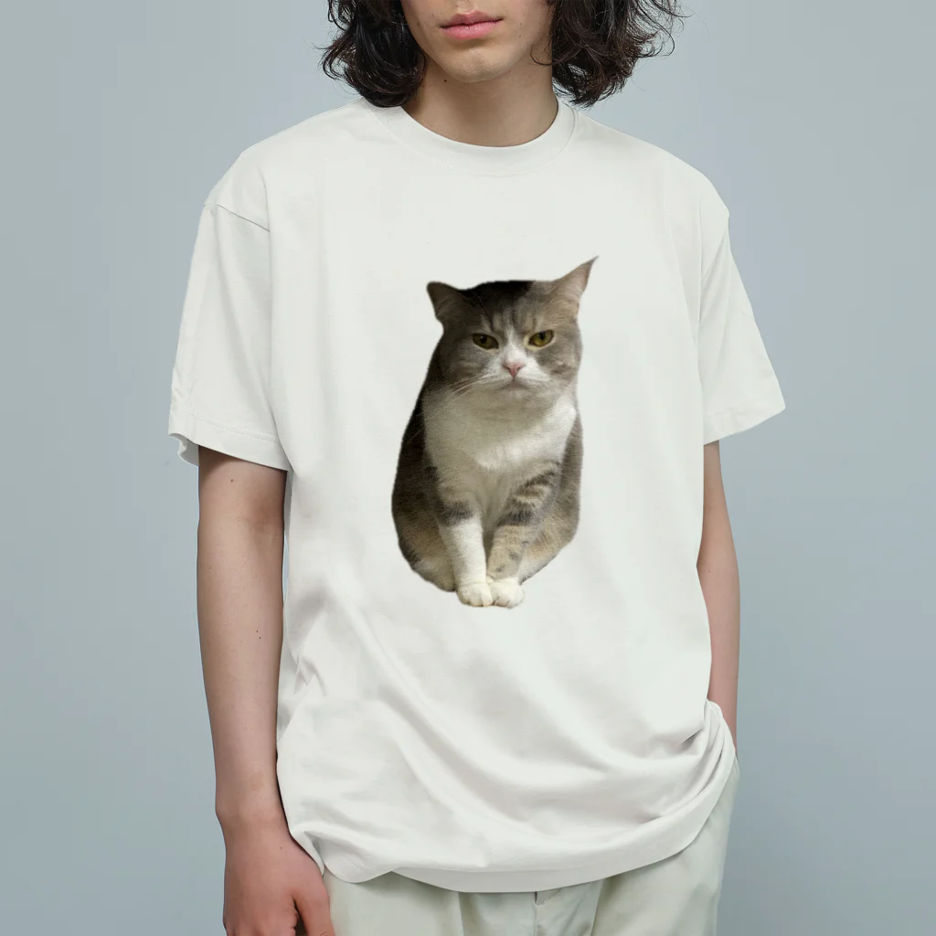 むっちり猫のむっちり丸の不機嫌な美猫 ミロ姫 オーガニックコットンTシャツ