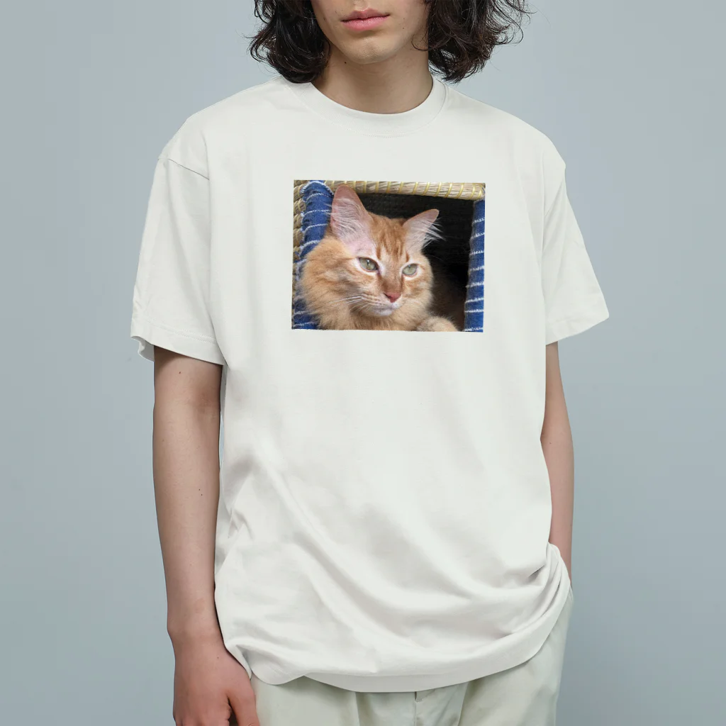 chibi_Lのちぐらでくつろぐチビエル Organic Cotton T-Shirt