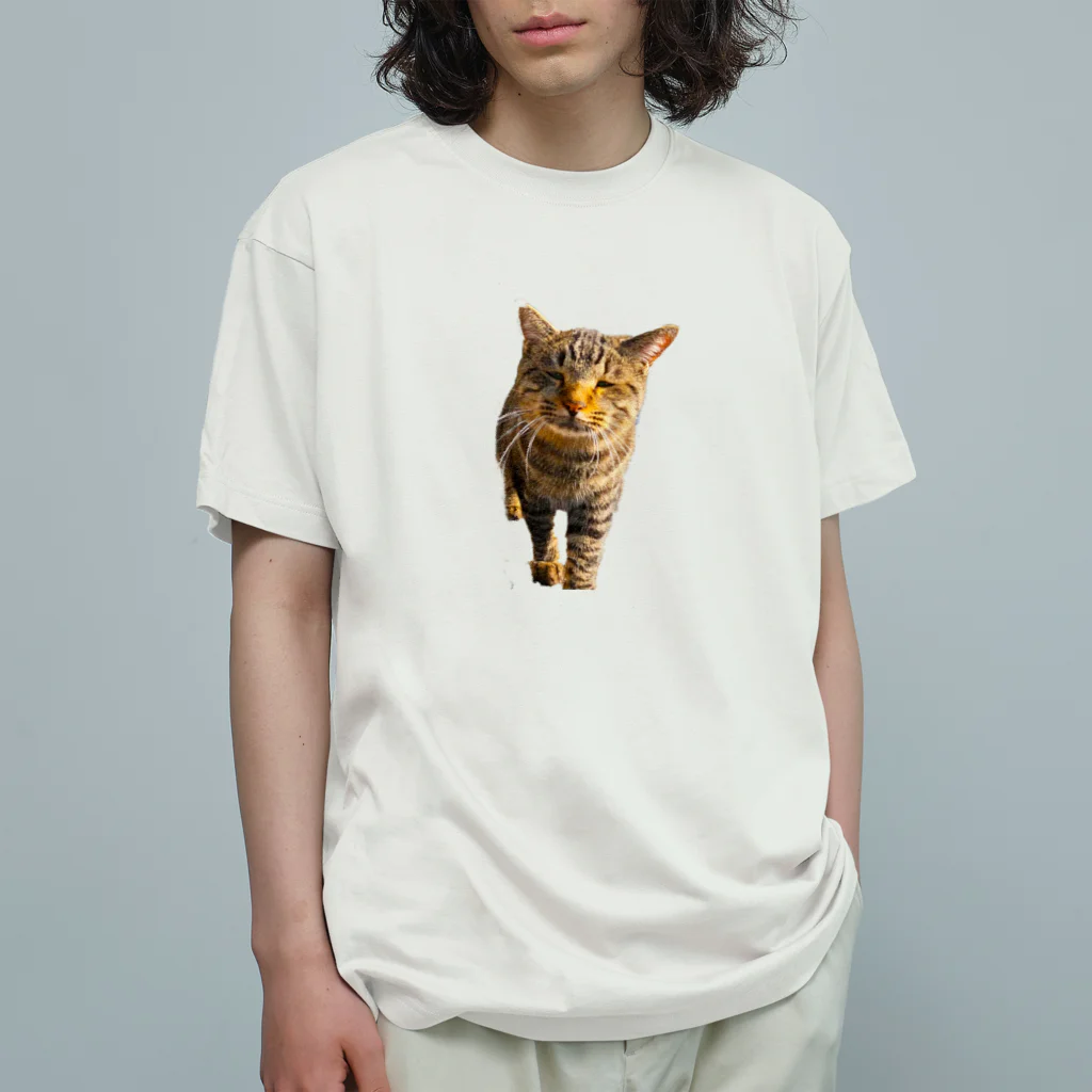 猫島のじかんのごめ～んにゃさい Organic Cotton T-Shirt