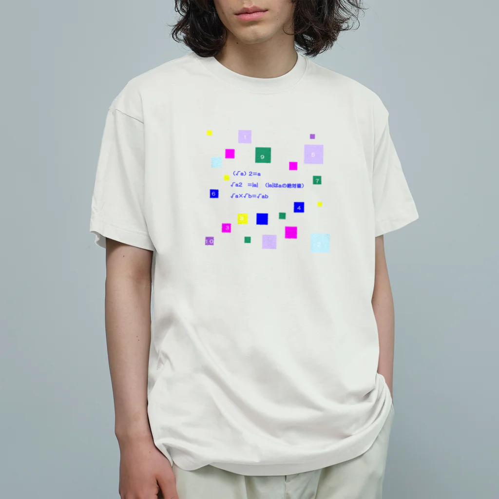 noiSutoaの方根（ルート）が入った計算 Organic Cotton T-Shirt