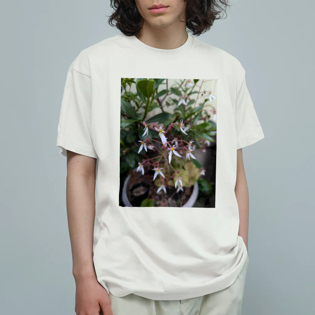 ミクロのユキノシタのお花が可愛らしい〜 Organic Cotton T-Shirt