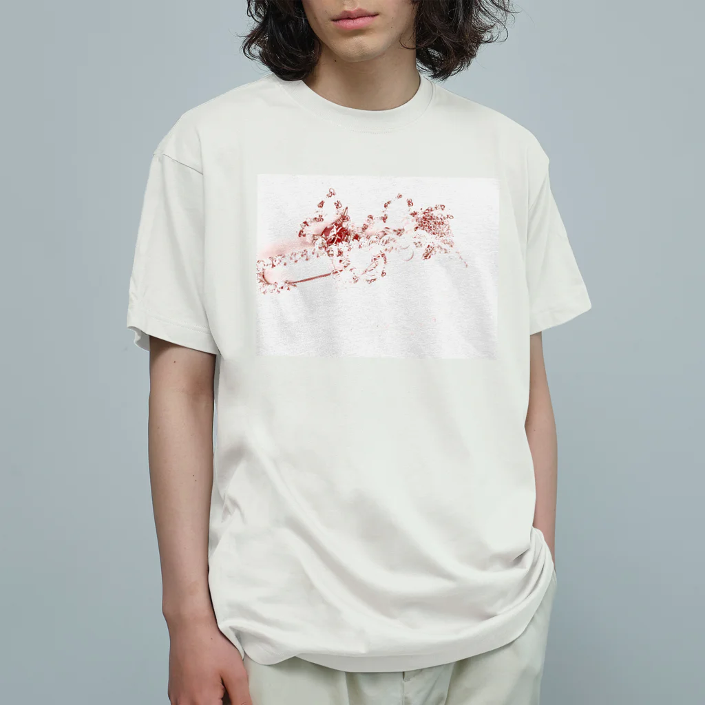 ajajniikoの赤いあくせさりーさん Organic Cotton T-Shirt