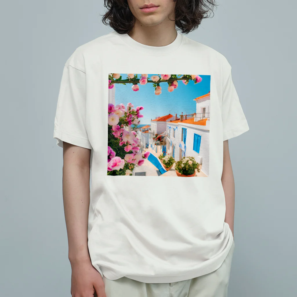 HOSHI-TANEKO🌠の🌺南欧家並み🏠 オーガニックコットンTシャツ