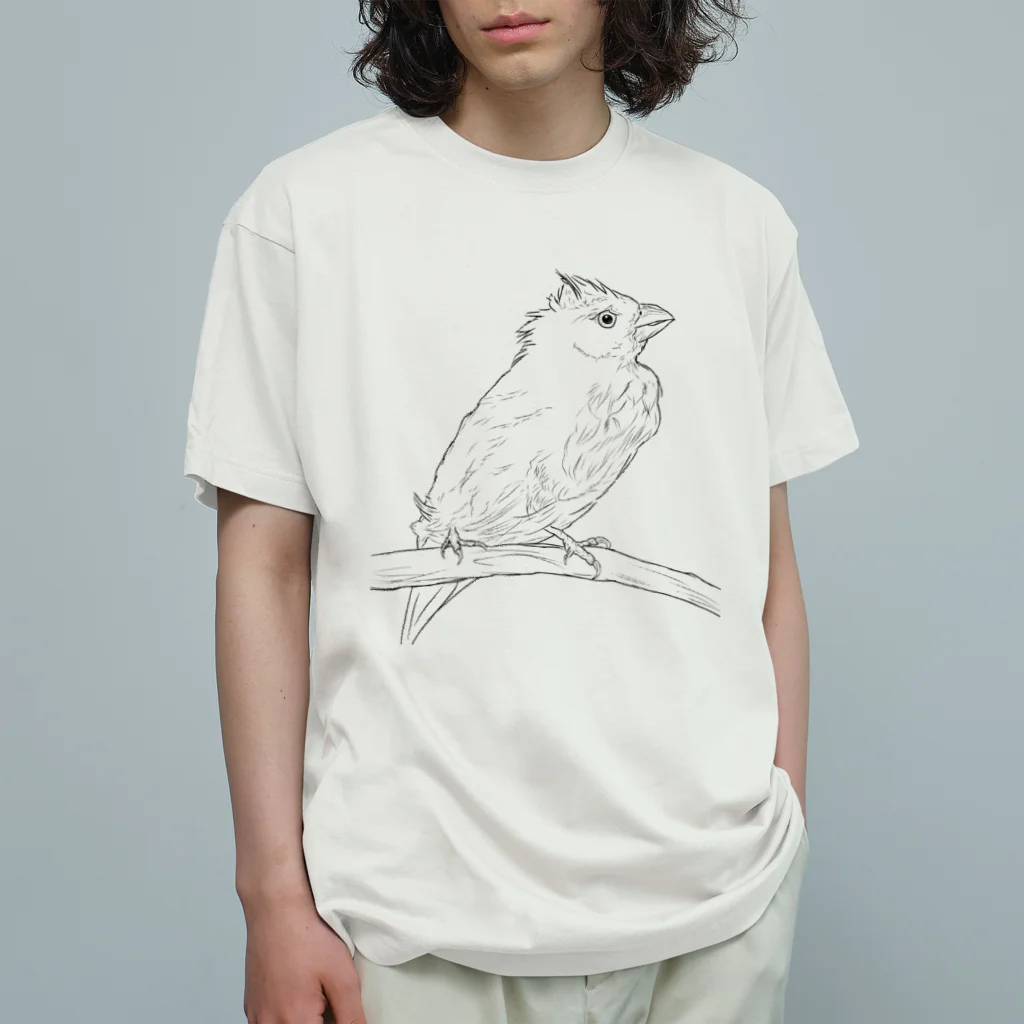 Lily bird（リリーバード）の水浴び文鳥 オーガニックコットンTシャツ