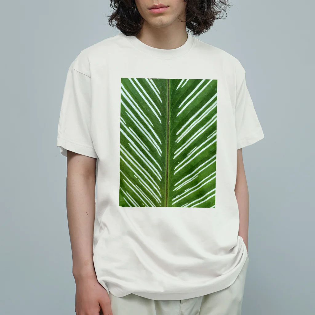 Waternavy & Co.の葉脈 Organic Cotton T-Shirt