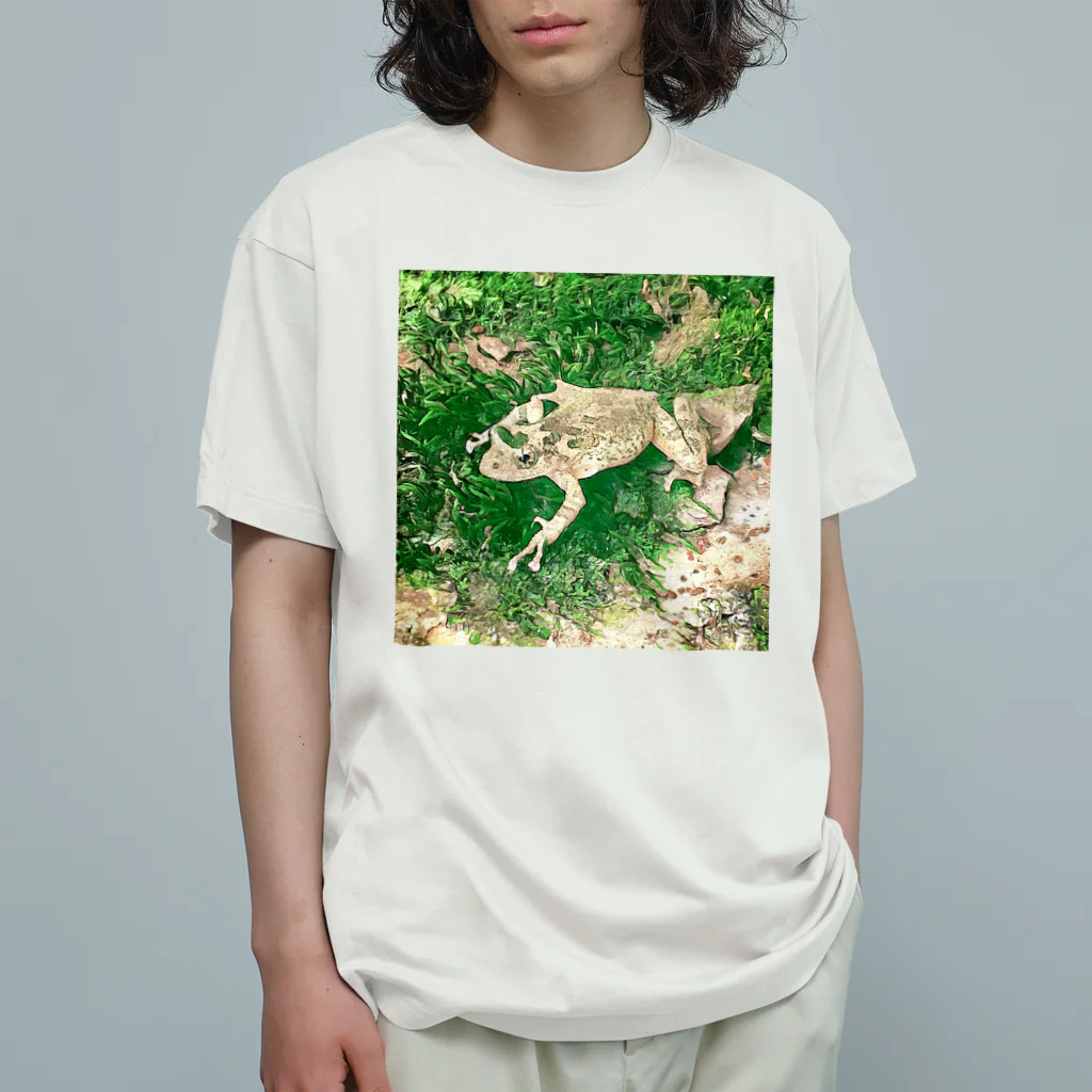 Fantastic FrogのFantastic Frog -Evergreen Version- オーガニックコットンTシャツ