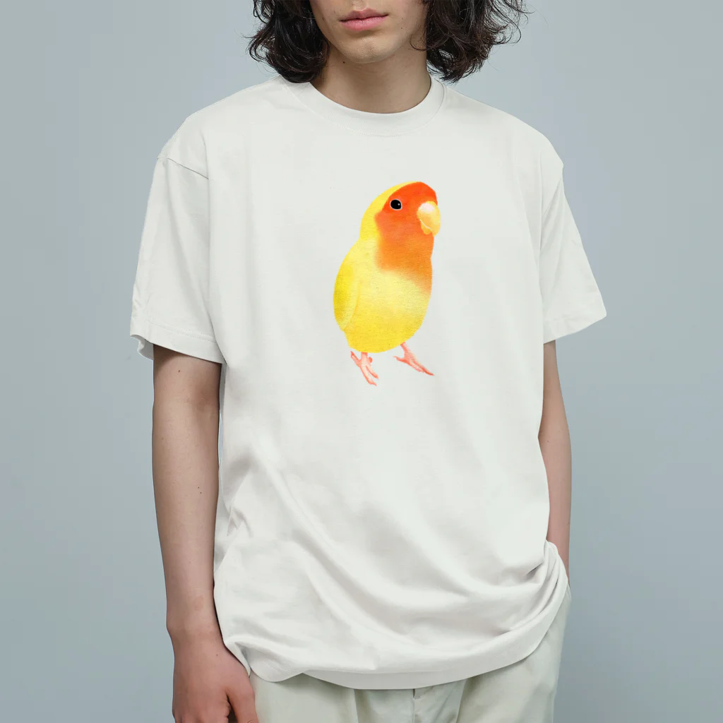 まめるりはことりのコザクラインコ　おすましルチノー【まめるりはことり】 オーガニックコットンTシャツ