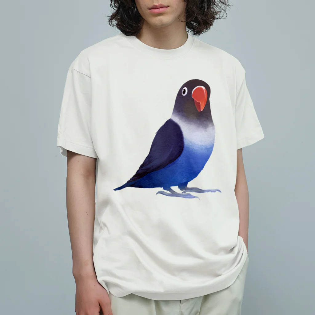 まめるりはことりのボタンインコ　おすましコバルトブルー【まめるりはことり】 オーガニックコットンTシャツ