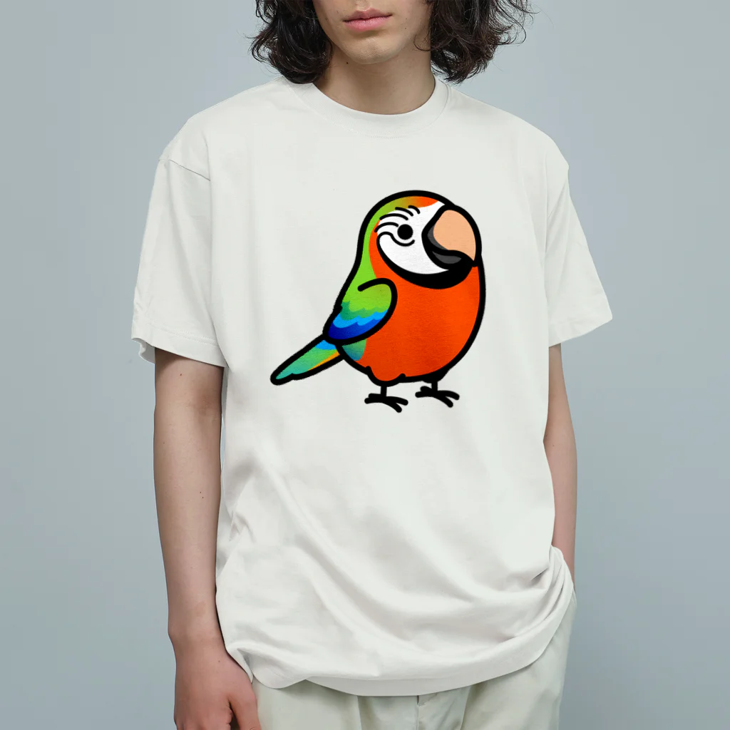 Cody the LovebirdのChubby Bird ハルクインコンゴウインコ Organic Cotton T-Shirt