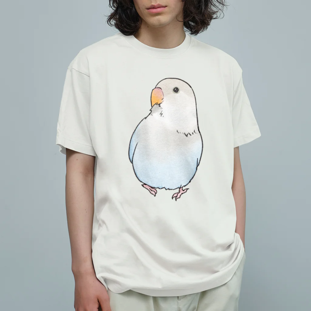 まめるりはことりのおすましコザクラインコ　らむねちゃん【まめるりはことり】 オーガニックコットンTシャツ