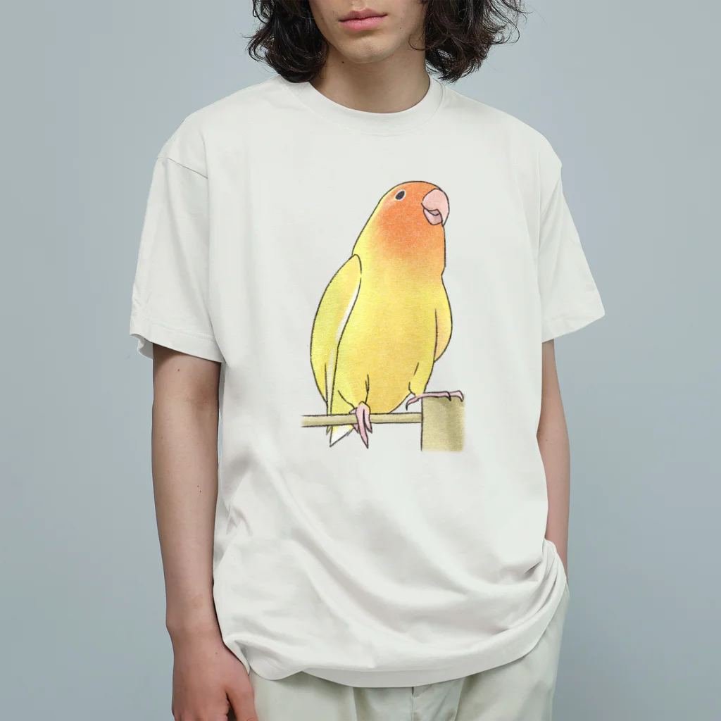 まめるりはことりの得意げ可愛い　コザクラインコちゃん【まめるりはことり】 オーガニックコットンTシャツ