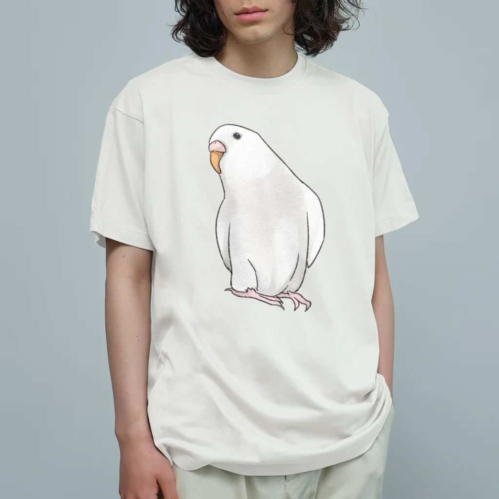 まめるりはことりのアルビノセキセイインコちゃん【まめるりはことり】 オーガニックコットンTシャツ