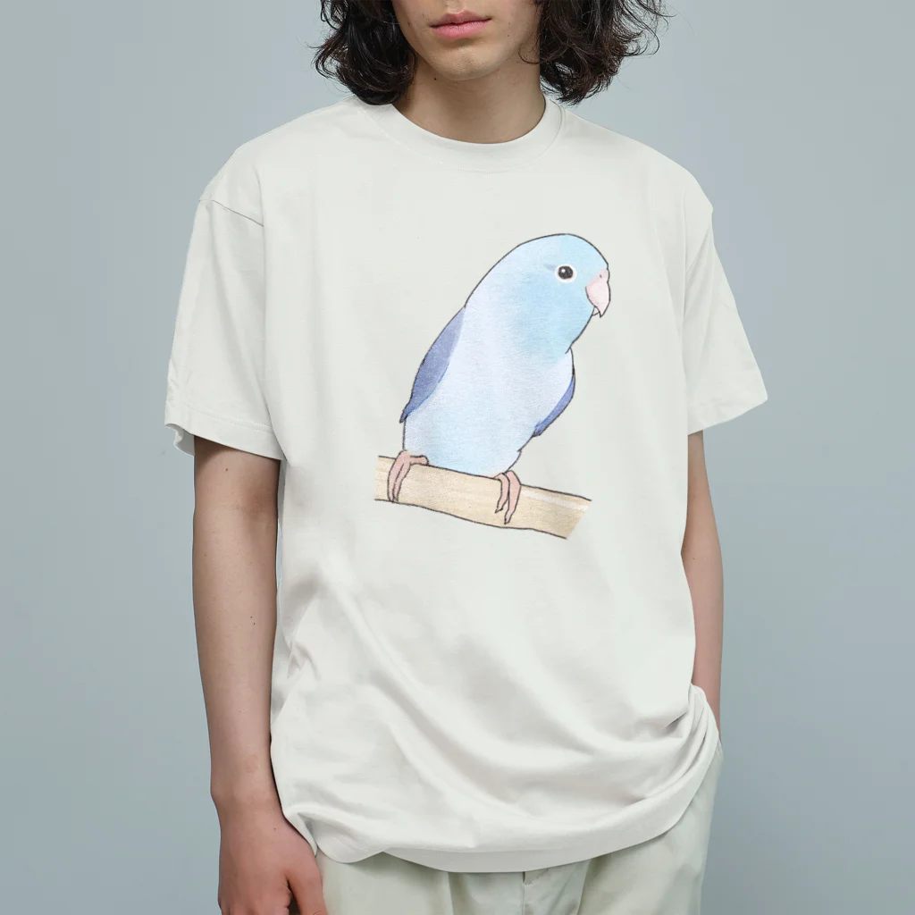 まめるりはことりのおしゃまなマメルリハのるりちゃん【まめるりはことり】 オーガニックコットンTシャツ