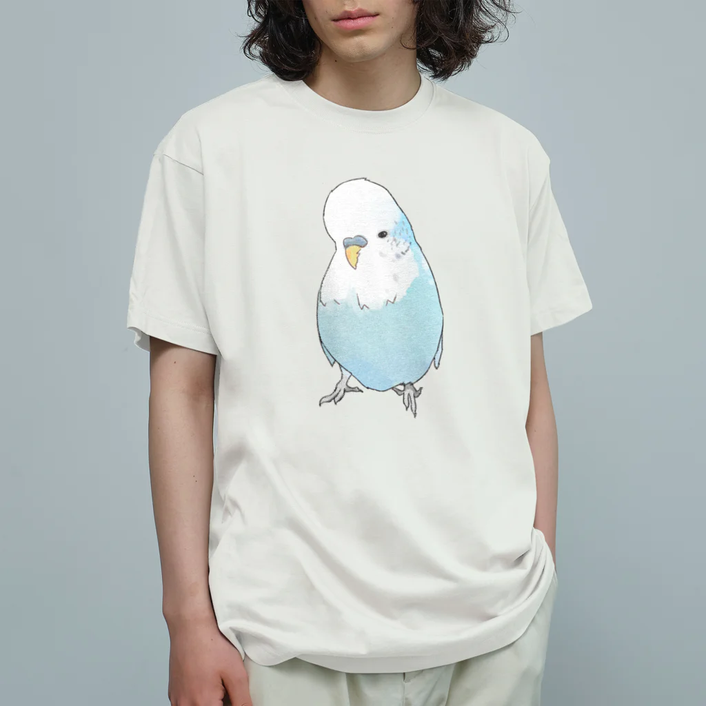 まめるりはことりの可愛いジャンボセキセイインコ【まめるりはことり】 Organic Cotton T-Shirt