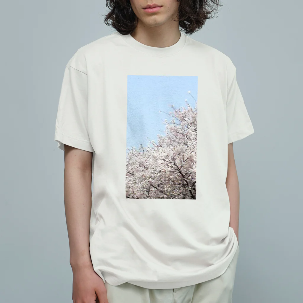 綺麗何学模様の桜 オーガニックコットンTシャツ