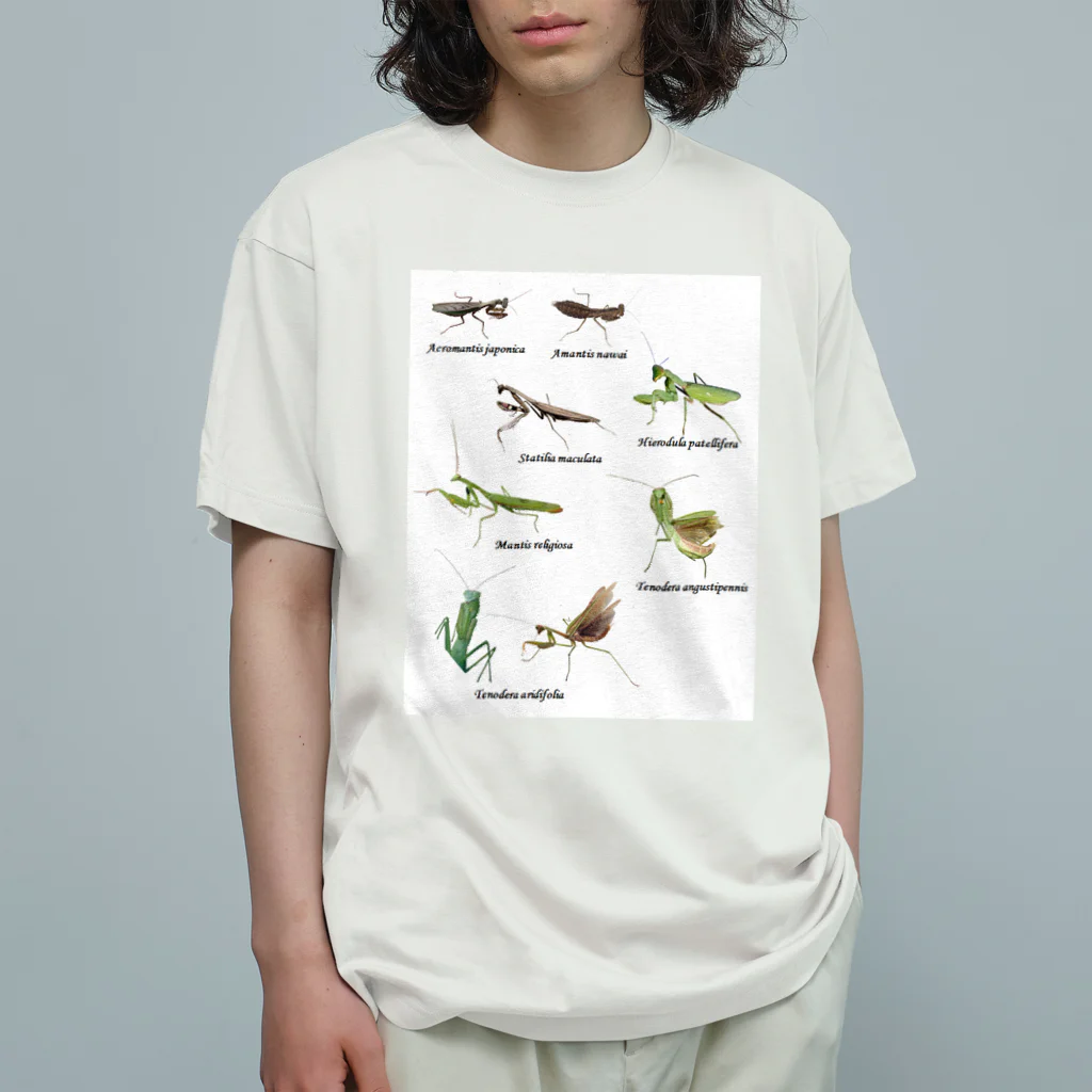 L_arctoaの関東のカマキリ（旧学名・非推奨）（背景白色ver） Organic Cotton T-Shirt