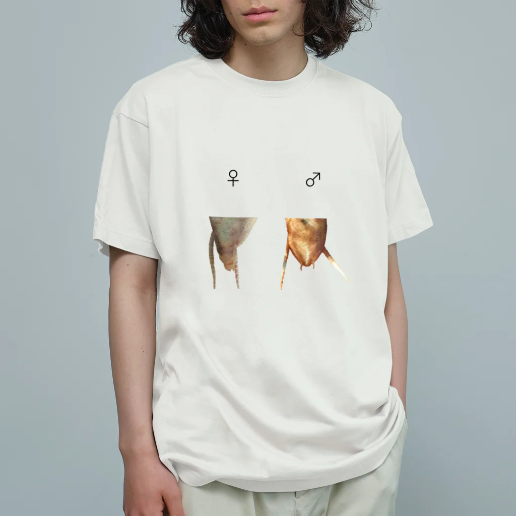 L_arctoaのカマキリの雌雄（背景透過ver） Organic Cotton T-Shirt