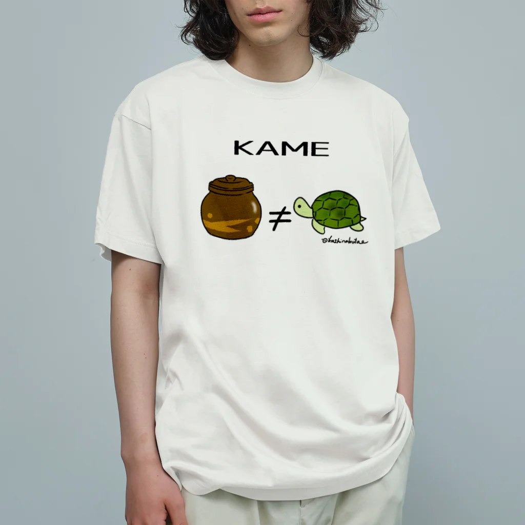 Draw freelyのKAME オーガニックコットンTシャツ