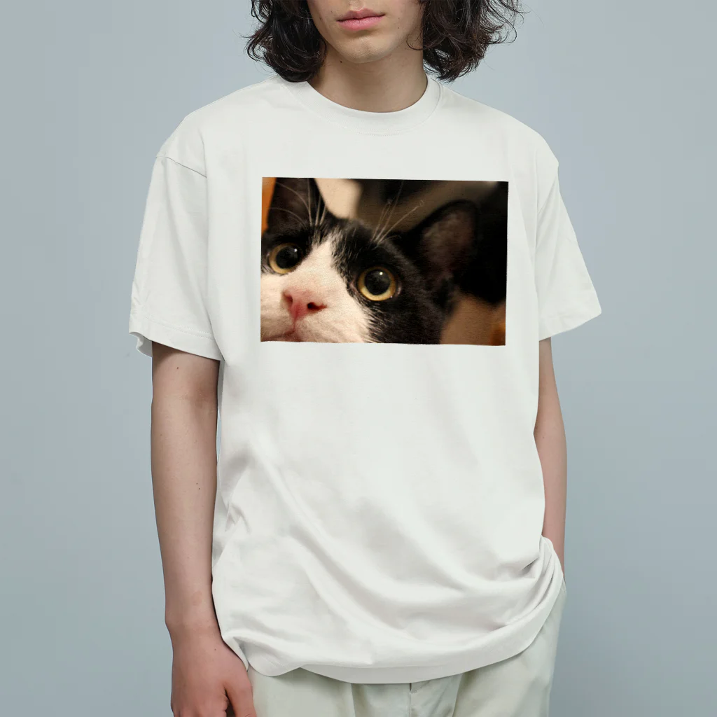 ねこの下僕のぶうちゃん オーガニックコットンTシャツ