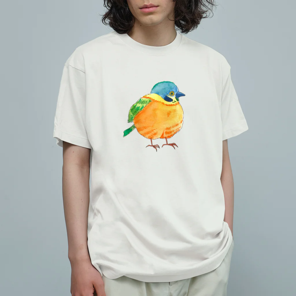 霜降りゾンビのことりちゃん オーガニックコットンTシャツ