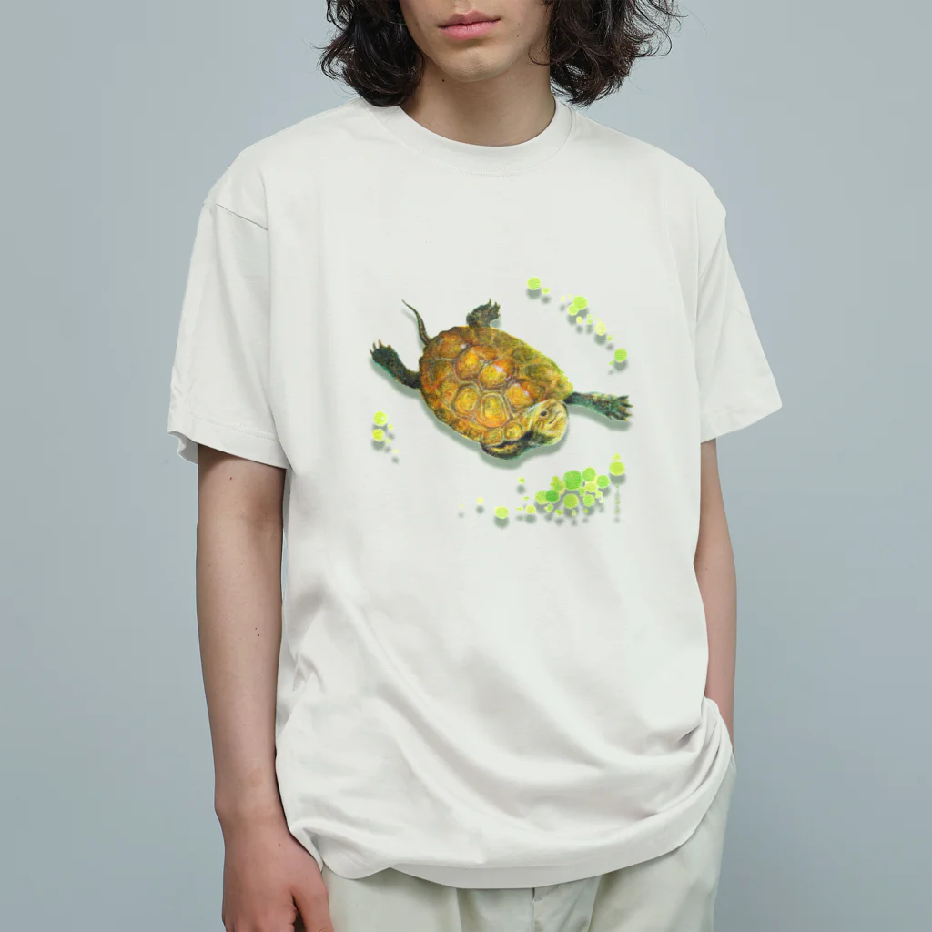 めろんぽっぷのお店だよの泳いできたよ、ニホンイシガメ Organic Cotton T-Shirt