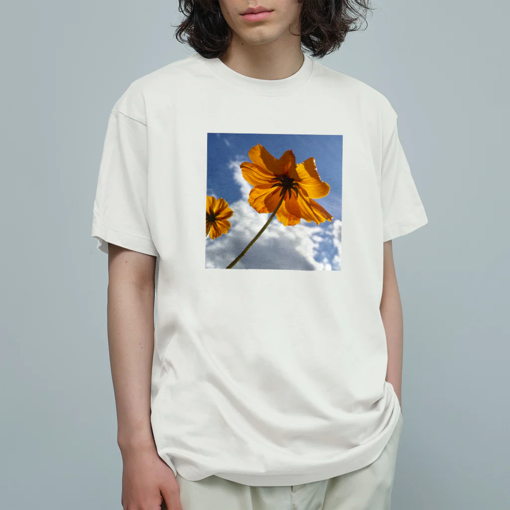 まとい屋の花模様  キバナコスモスA オーガニックコットンTシャツ