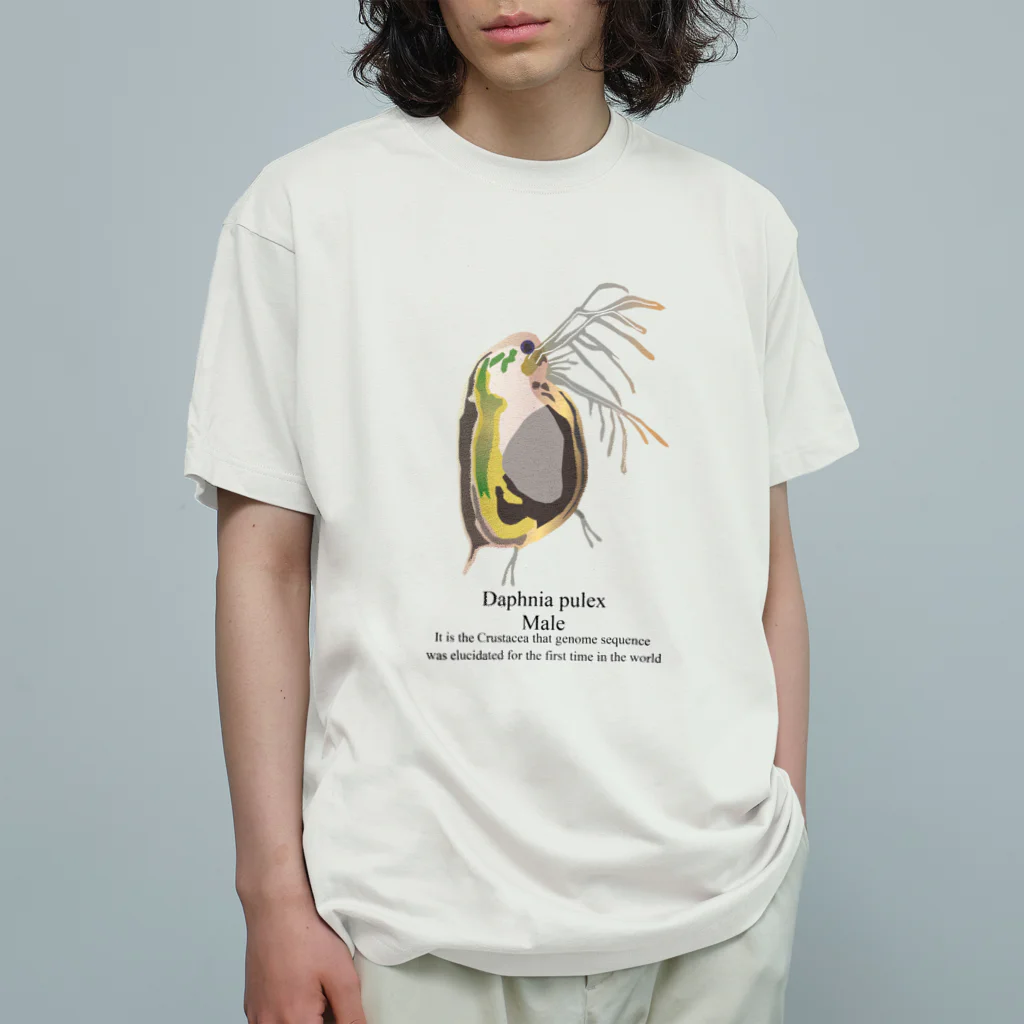 HIRAMATAの真面目なミジンコ♂ Organic Cotton T-Shirt