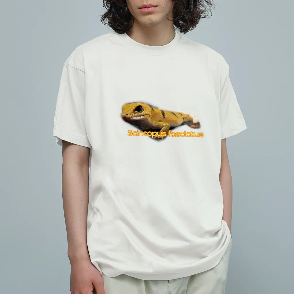 紅葉のピーターズバンデッドスキンクのとらちゃん Organic Cotton T-Shirt