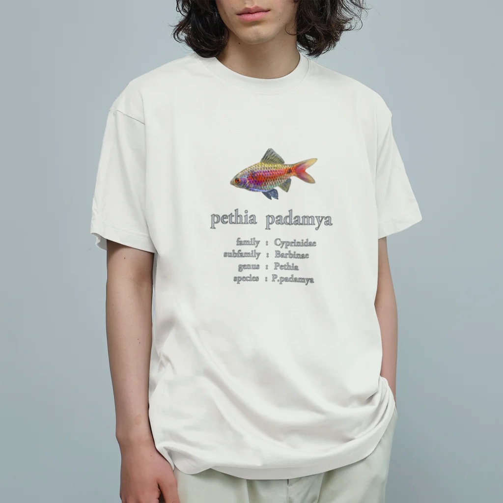 応魚のオデッサバルブ２ オーガニックコットンTシャツ