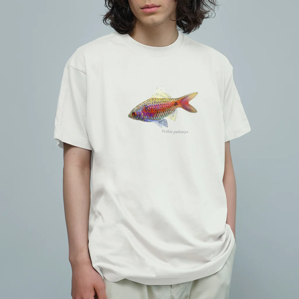 応魚のオデッサバルブ３ オーガニックコットンTシャツ