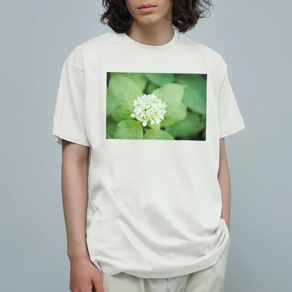 Leaves & Flowersの紫陽花はじめ Organic Cotton T-Shirt