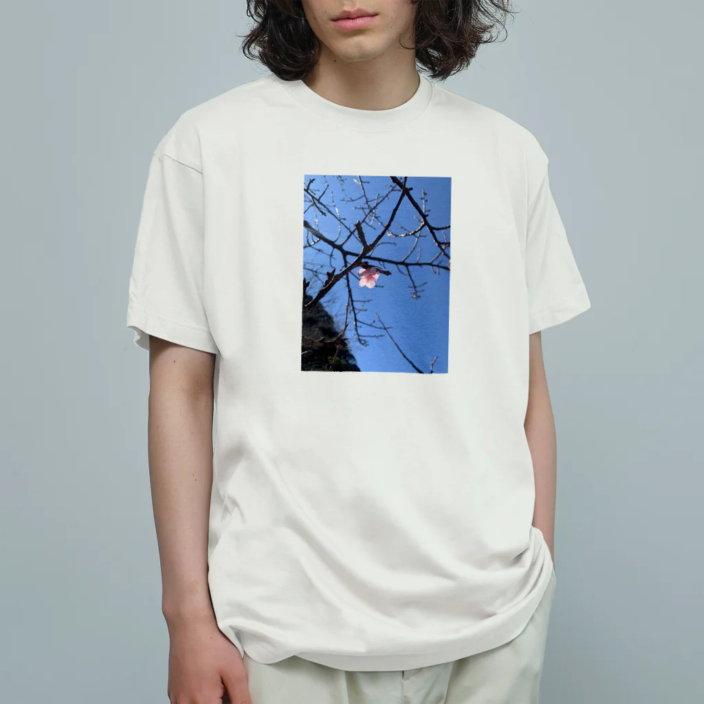 ロッキーMSK@A.B.Oの一輪ノ桜 オーガニックコットンTシャツ