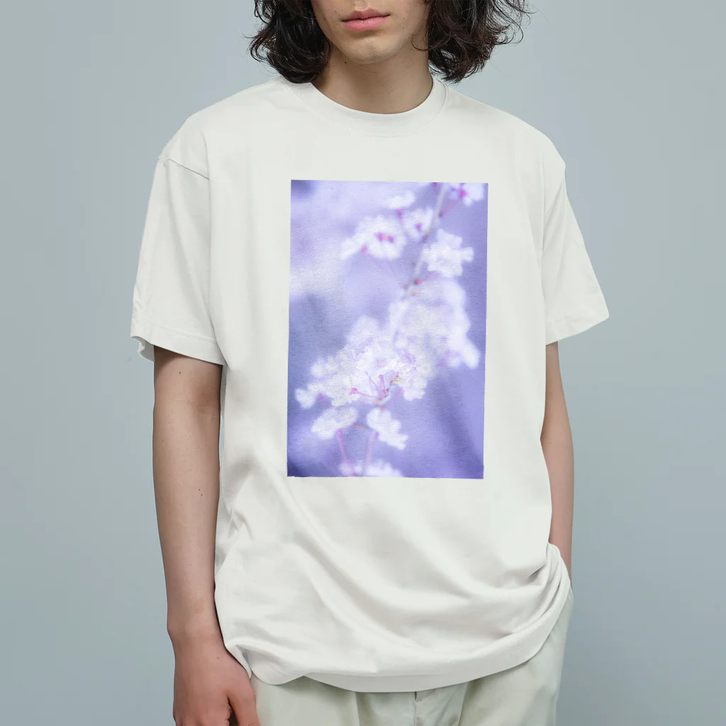 ラクトムーン（京ささら）の桜の写真 オーガニックコットンTシャツ