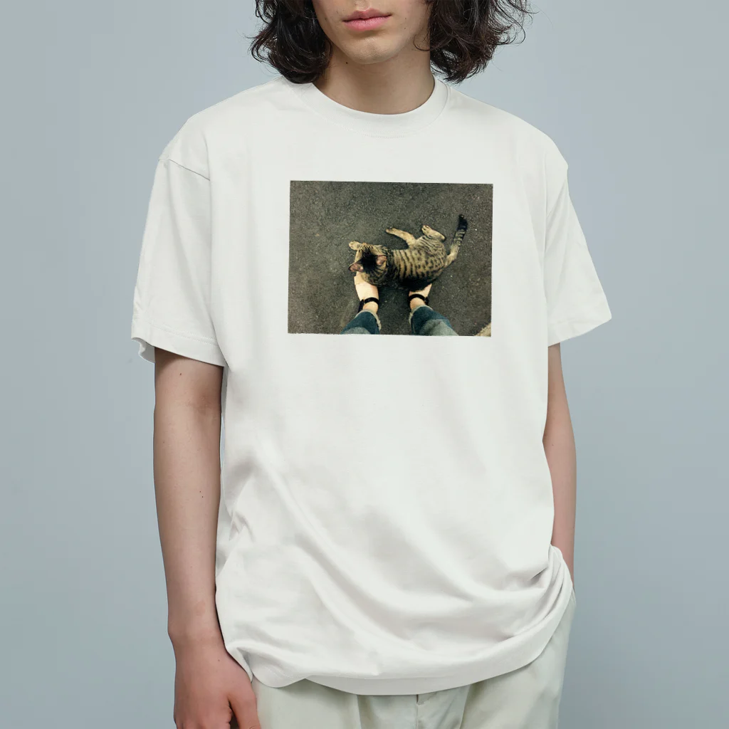 パンコネテル🍞の乗る猫 オーガニックコットンTシャツ