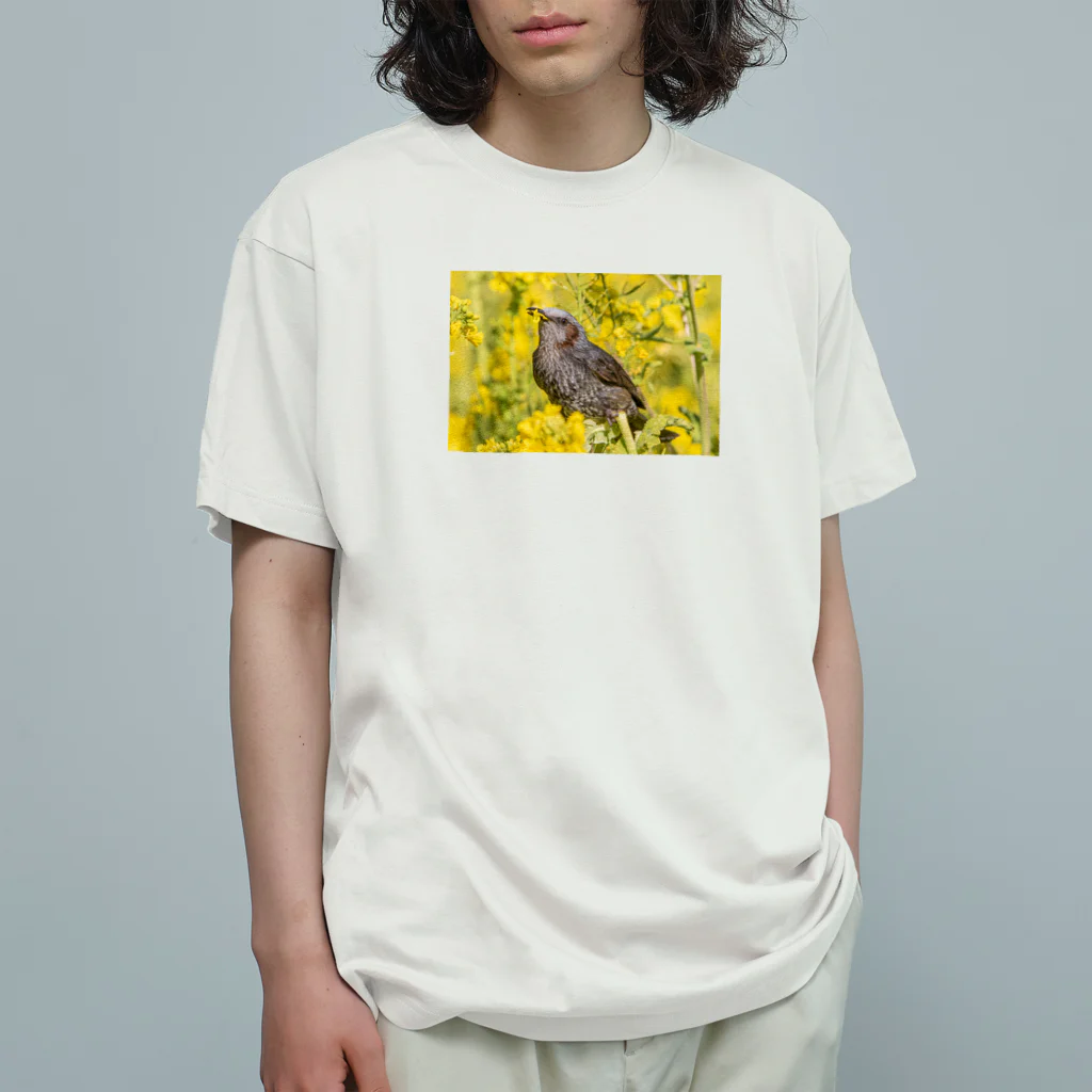 AI生成画像・風景・小物の写真をグッズにしてみましたの菜の花を食べるヒヨドリ Organic Cotton T-Shirt