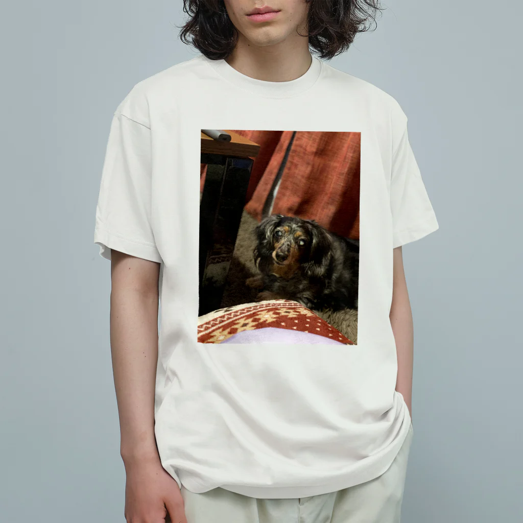 ObABaのおばば犬Tシャツ オーガニックコットンTシャツ